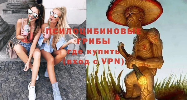 соль ск Алзамай