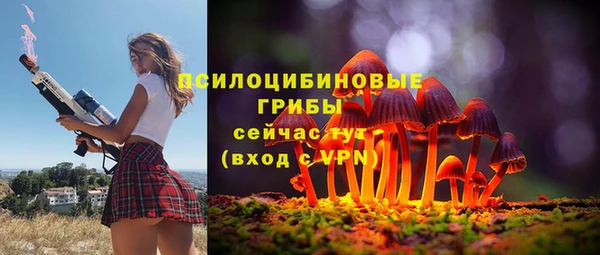 соль ск Алзамай