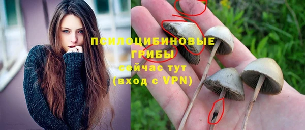 соль ск Алзамай