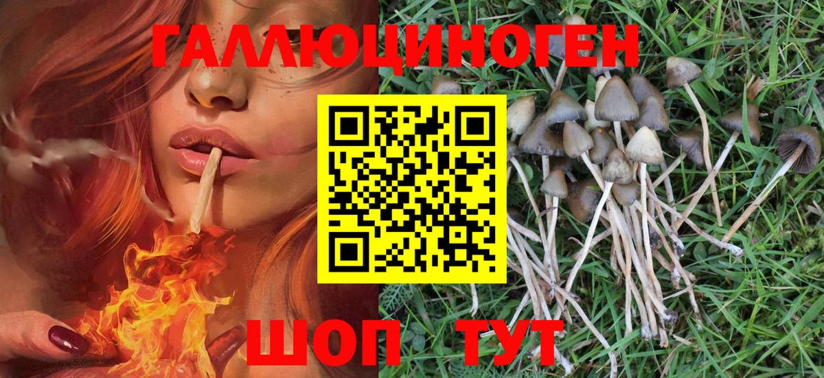 Галлюциногенные грибы MAGIC MUSHROOMS  Вход с VPN  Галлюциногенные грибы ЛСД  Борзя 